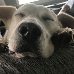 Meet your Posher, Gillian